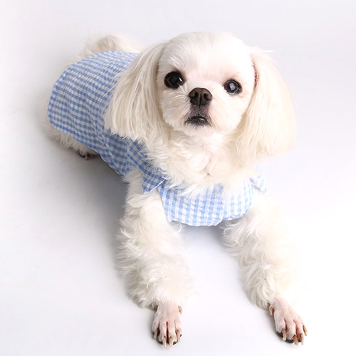 리플 민소매 강아지옷 봄 여름용 티셔츠 핑크 블루