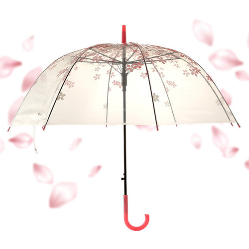 플라워핑크 투명 장우산 벚꽃 그라데이션 여성 80cm